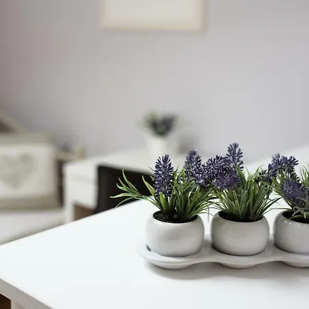 Alluring Bonerowska Street Apartment Krakau